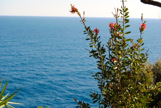 View of the sea from the gardens.